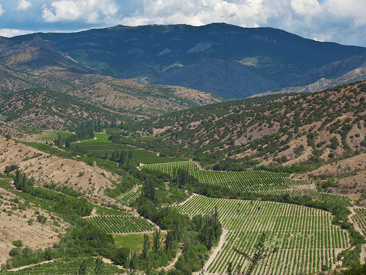 Малореченское