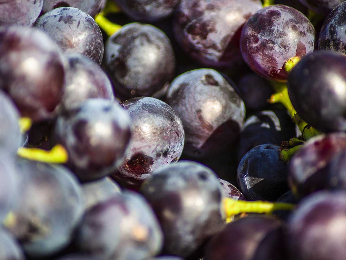 Базовая линейка