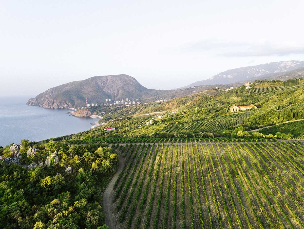 Десертное вино