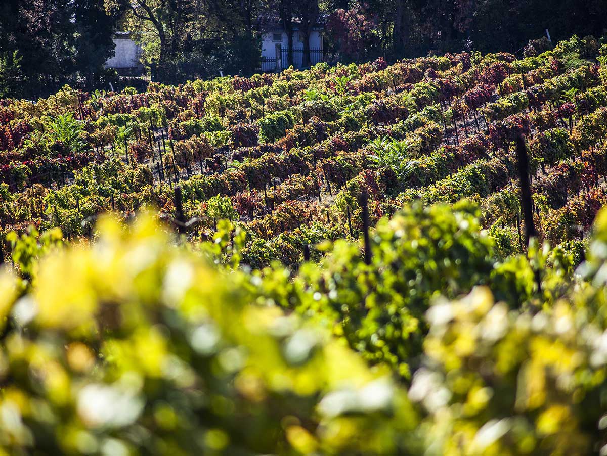 Базовая линейка