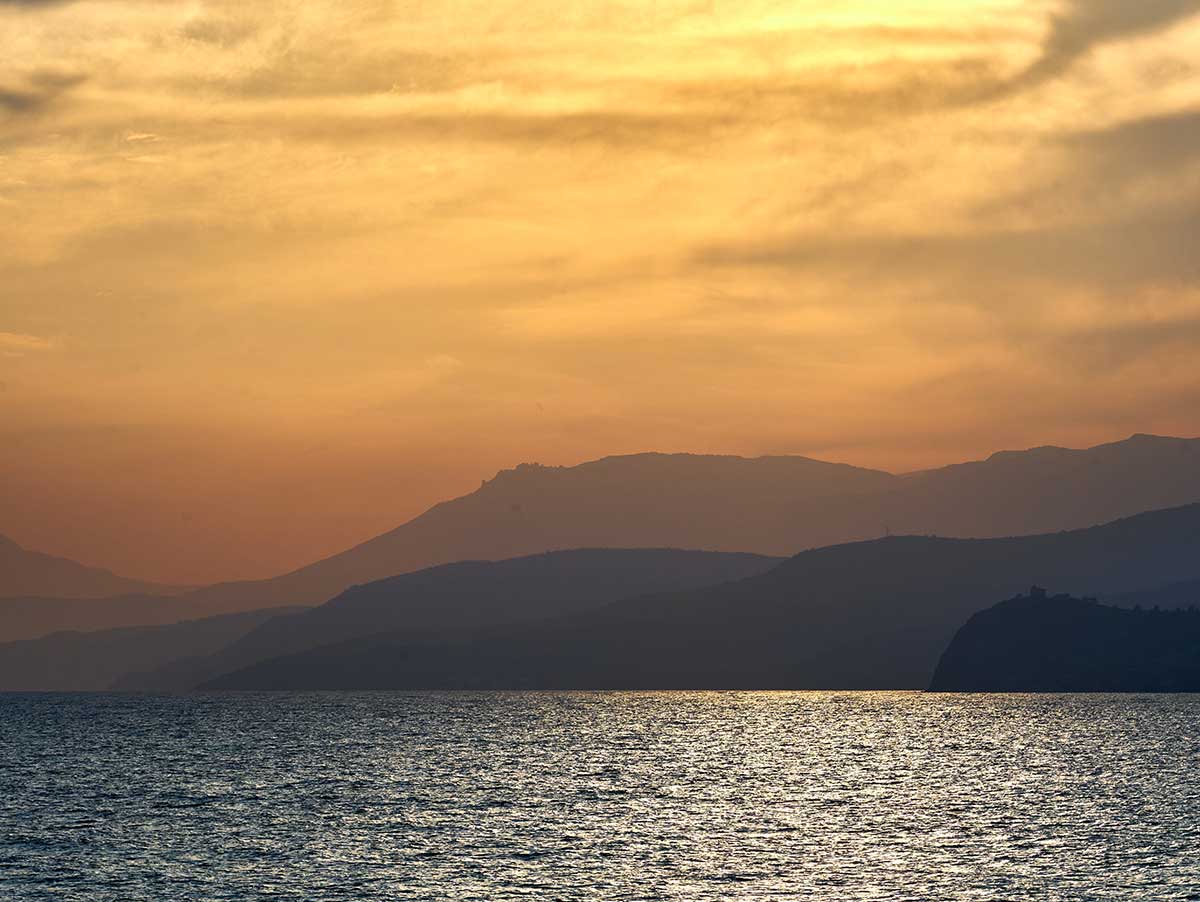 Мускат позднего сбора