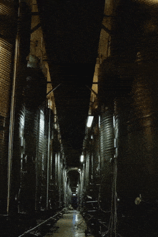 сбор урожая